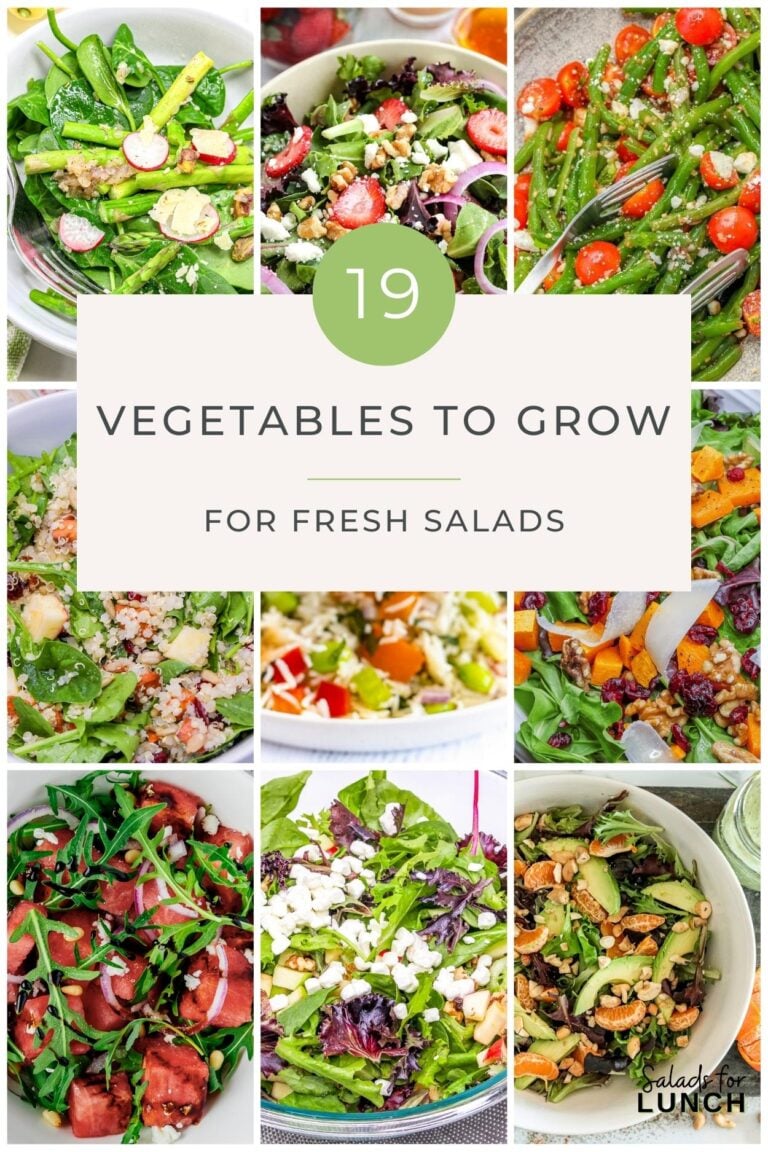 A collage of 9 salads with text overlay that says: 19 Vegetables to grow for fresh salads.