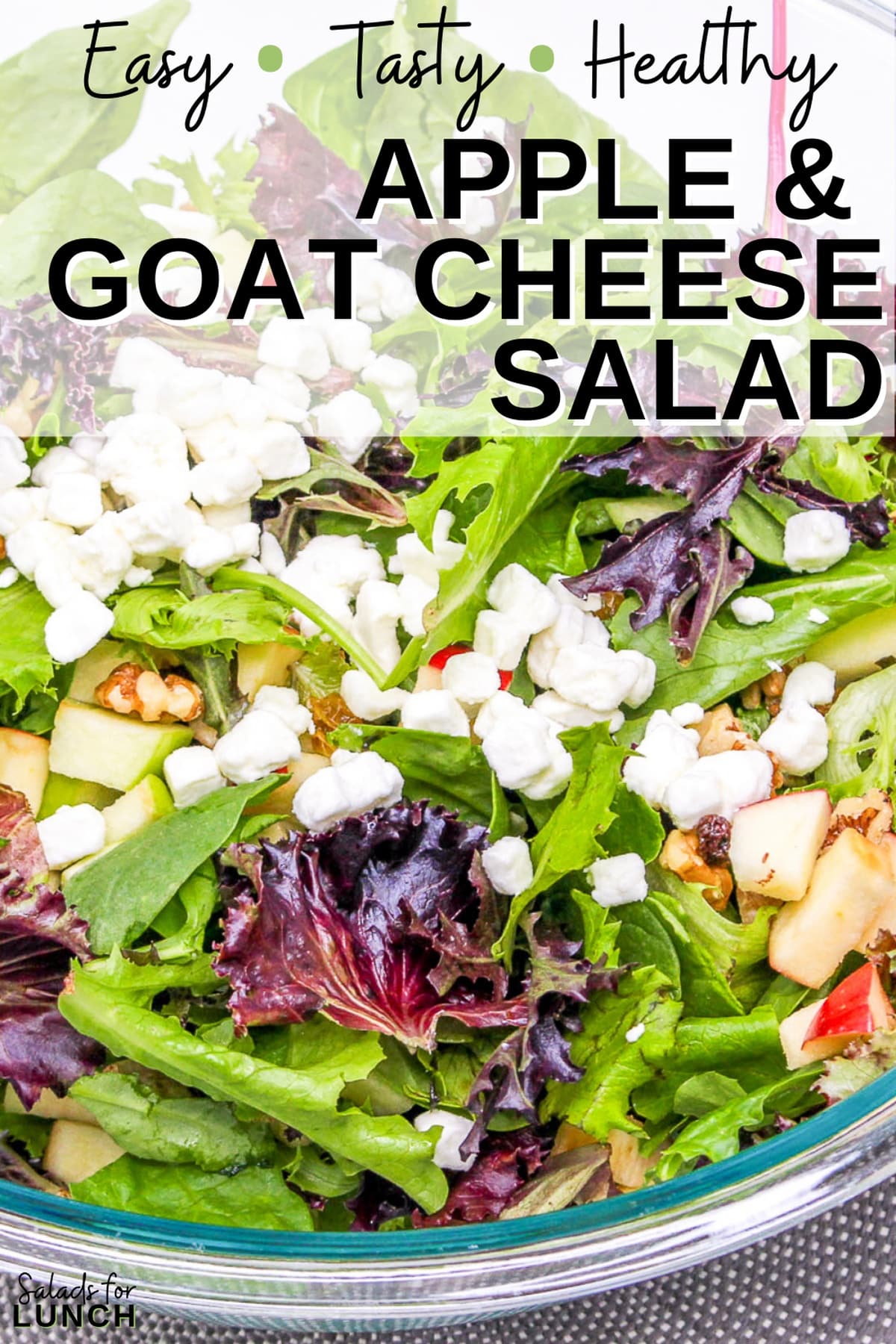 Apple and Goat Cheese Salad 1 - Crisp apples, tangy goat cheese, and crunchy pecans come together in this vibrant mixed green salad, drizzled with a zesty homemade vinaigrette. It’s the perfect balance of sweet, savory, and satisfying—like autumn in every bite! 🍏🥗✨