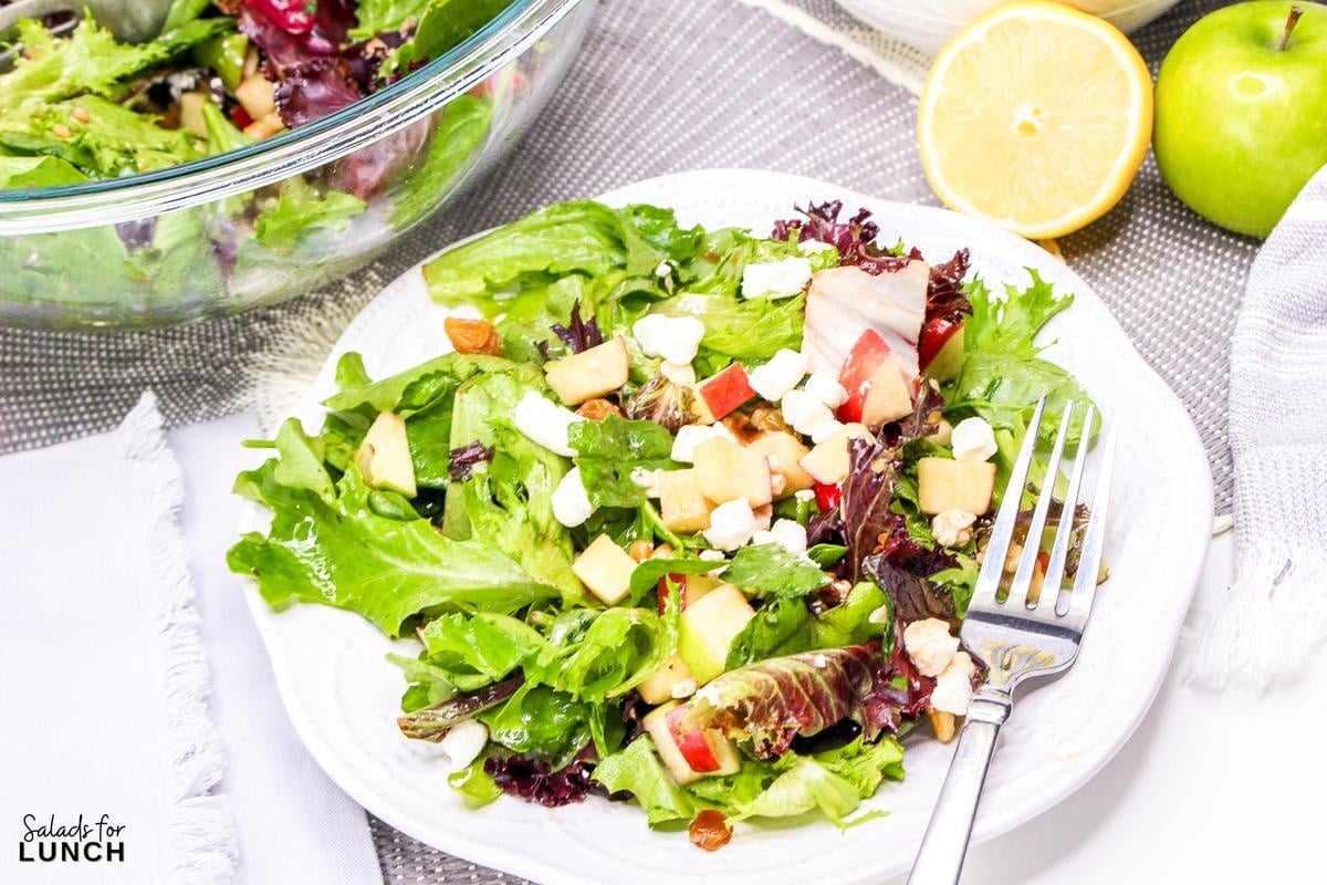 Apple and Goat Cheese Salad 15 - Crisp apples, tangy goat cheese, and crunchy pecans come together in this vibrant mixed green salad, drizzled with a zesty homemade vinaigrette. It’s the perfect balance of sweet, savory, and satisfying—like autumn in every bite! 🍏🥗✨