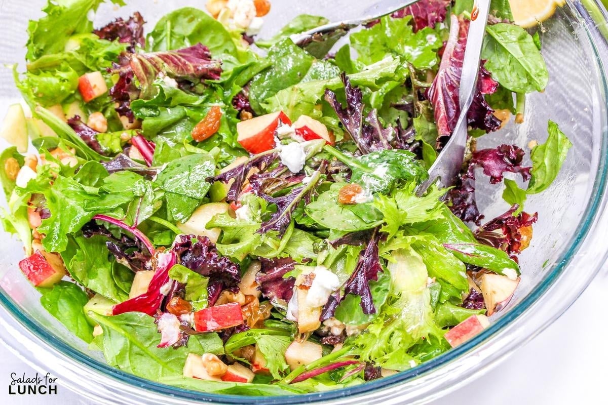 Apple and Goat Cheese Salad 23 - Crisp apples, tangy goat cheese, and crunchy pecans come together in this vibrant mixed green salad, drizzled with a zesty homemade vinaigrette. It’s the perfect balance of sweet, savory, and satisfying—like autumn in every bite! 🍏🥗✨