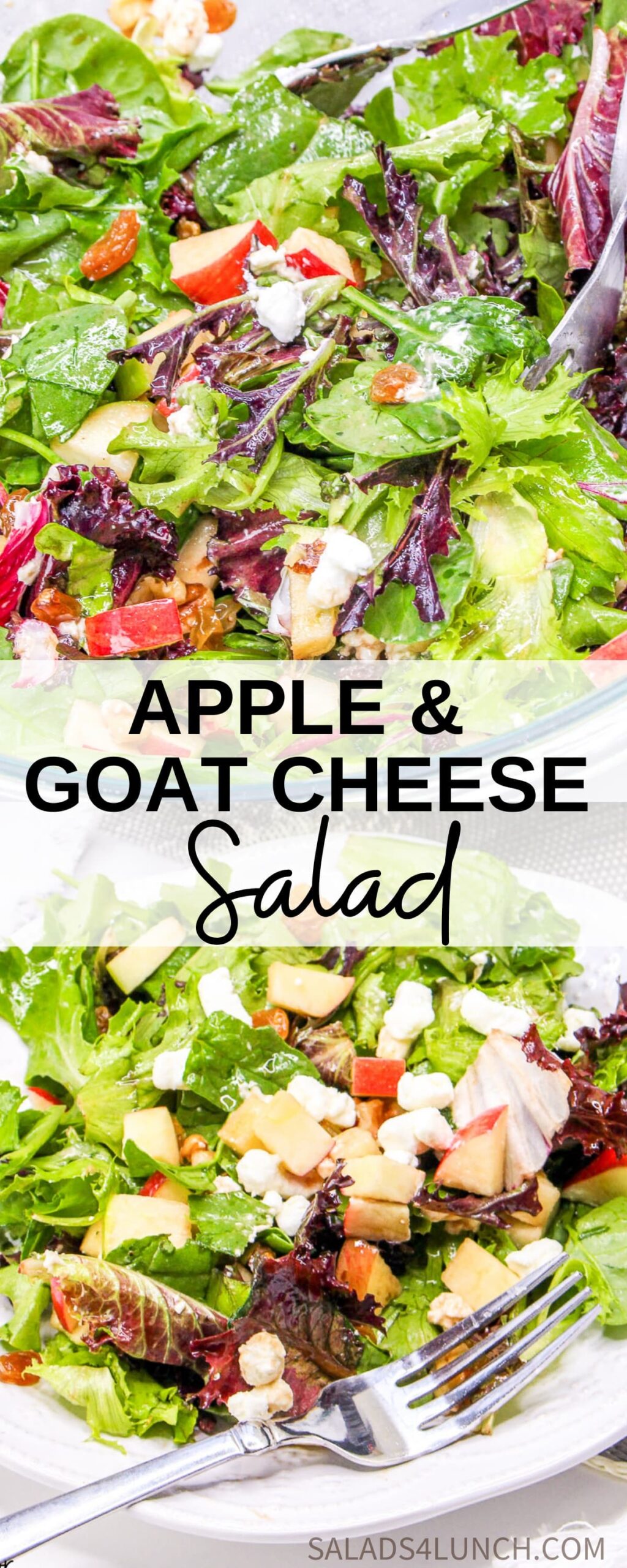 Apple and Goat Cheese Salad scaled - Crisp apples, tangy goat cheese, and crunchy pecans come together in this vibrant mixed green salad, drizzled with a zesty homemade vinaigrette. It’s the perfect balance of sweet, savory, and satisfying—like autumn in every bite! 🍏🥗✨