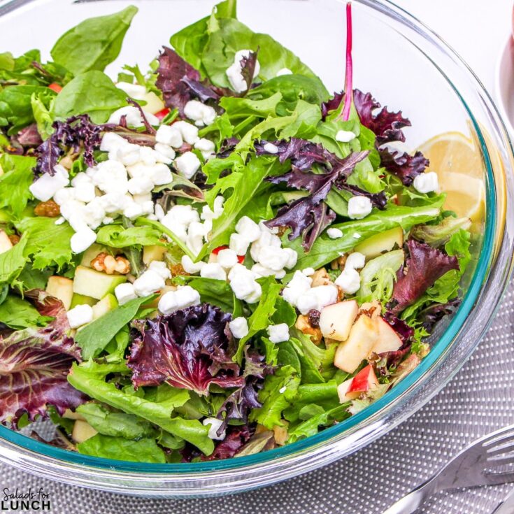 Apple and Goat Cheese Salad Square Featured Photo - These fall salads will help you make the most of October’s fresh, seasonal produce while adding flavor, nutrition, and variety to your meals. Enjoy the richness of fall in every bite!