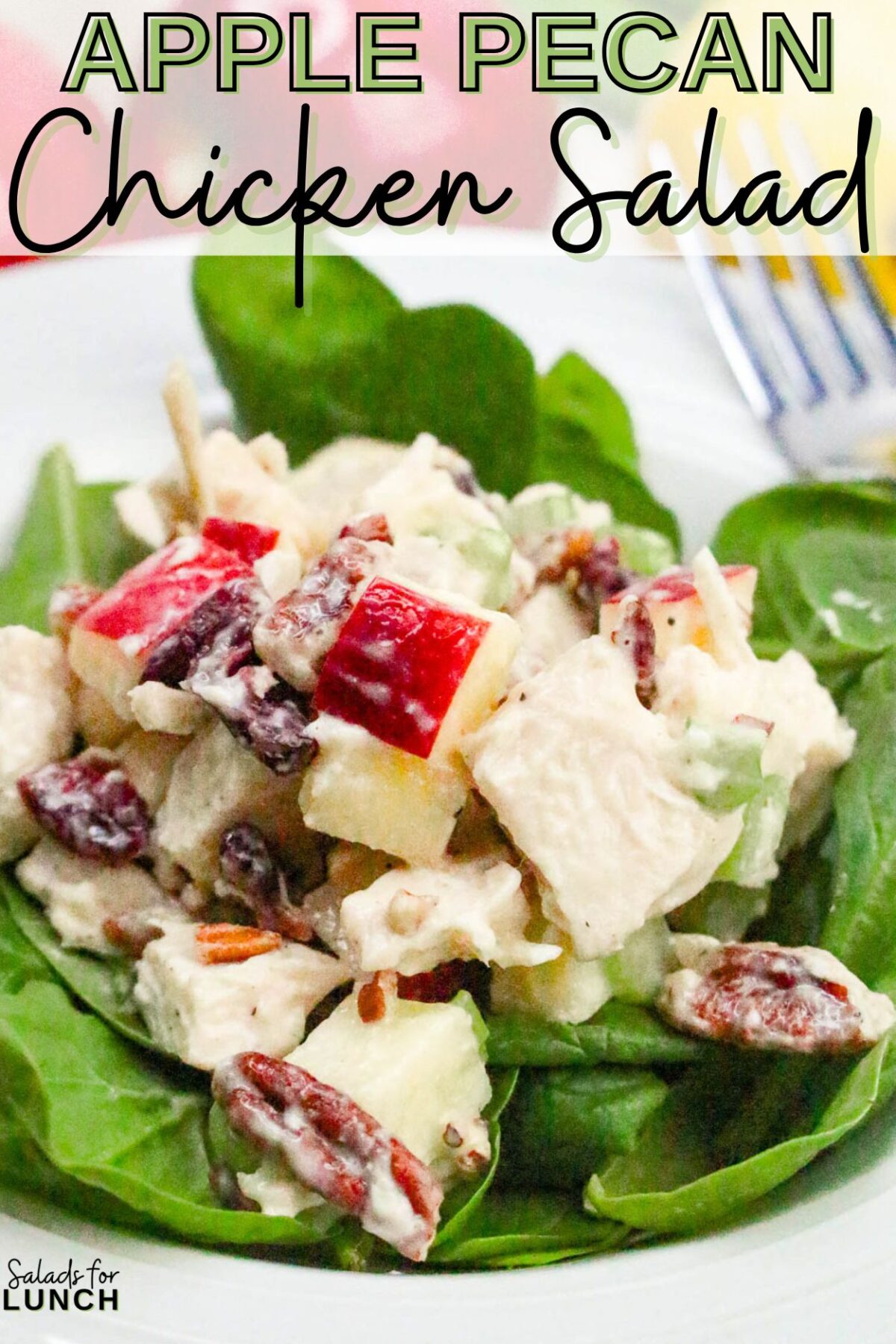 Apple Pecan Chicken Salad Recipe - A tasty, healthy lunch salad recipe that’s full of crunch and flavor!
