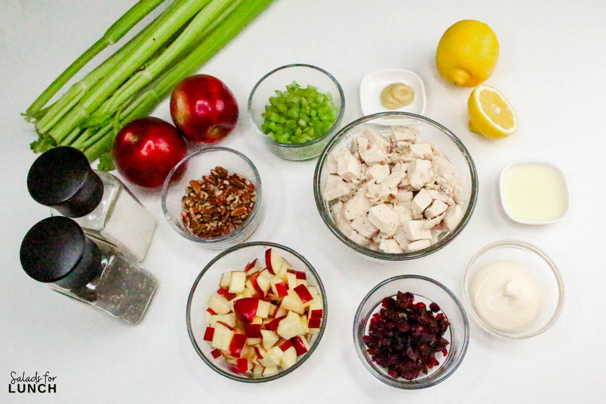 Apple Pecan Chicken Salad Recipe 2 - A tasty, healthy lunch salad recipe that’s full of crunch and flavor!