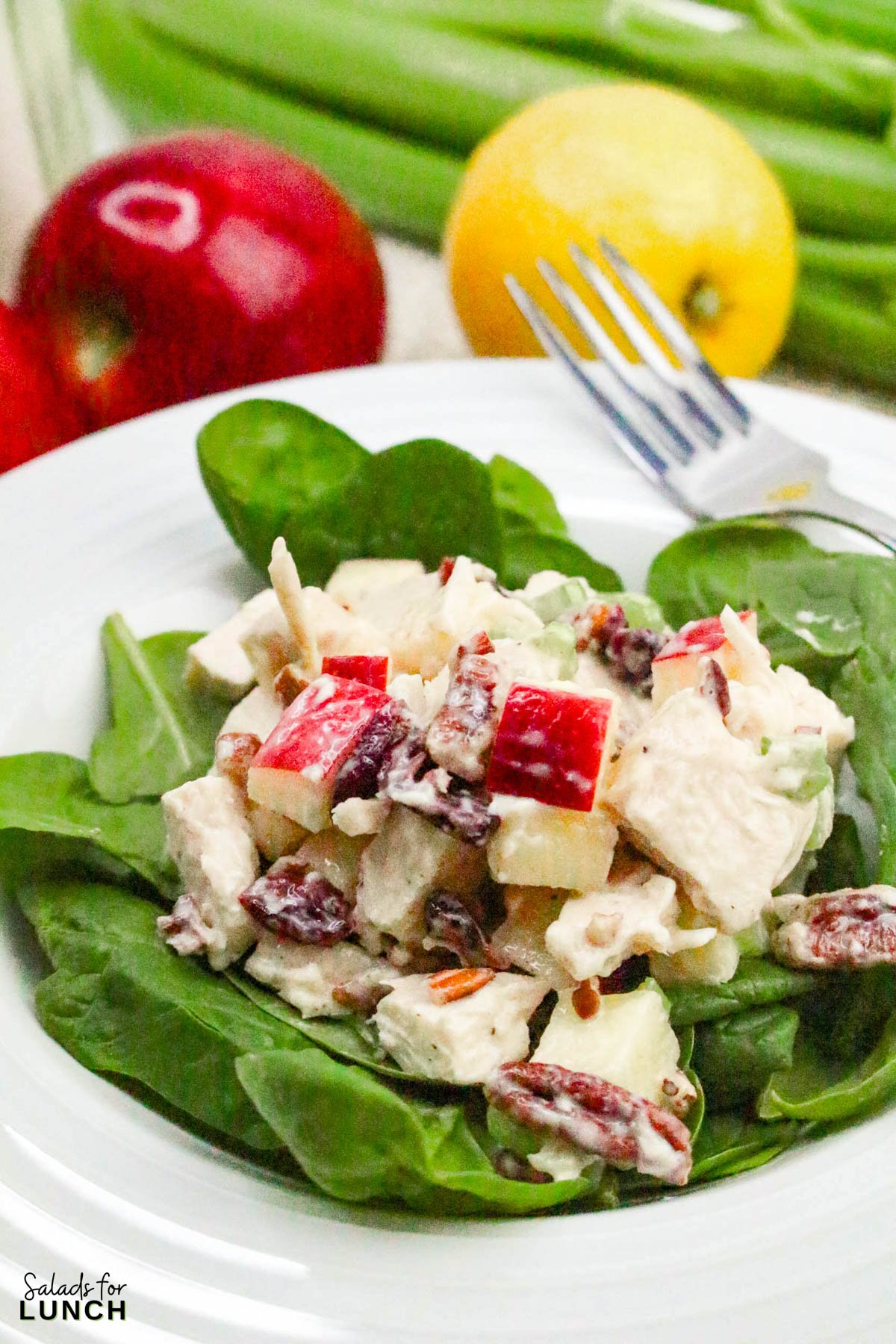 Apple Pecan Chicken Salad Recipe 25 - A tasty, healthy lunch salad recipe that’s full of crunch and flavor!