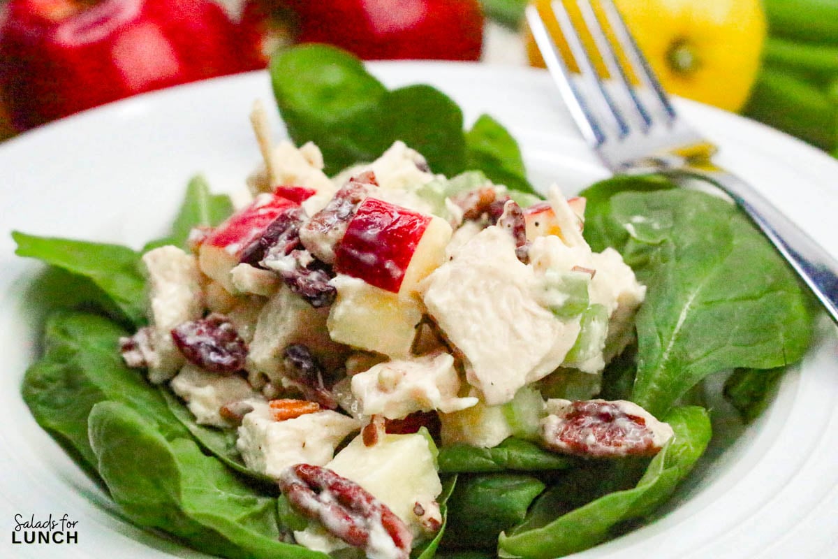Apple Pecan Chicken Salad Recipe 27 - A tasty, healthy lunch salad recipe that’s full of crunch and flavor!