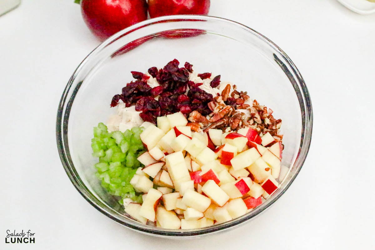 Apple Pecan Chicken Salad Recipe 3 - A tasty, healthy lunch salad recipe that’s full of crunch and flavor!