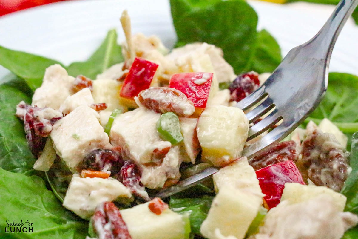 Apple Pecan Chicken Salad Recipe 33 - A tasty, healthy lunch salad recipe that’s full of crunch and flavor!