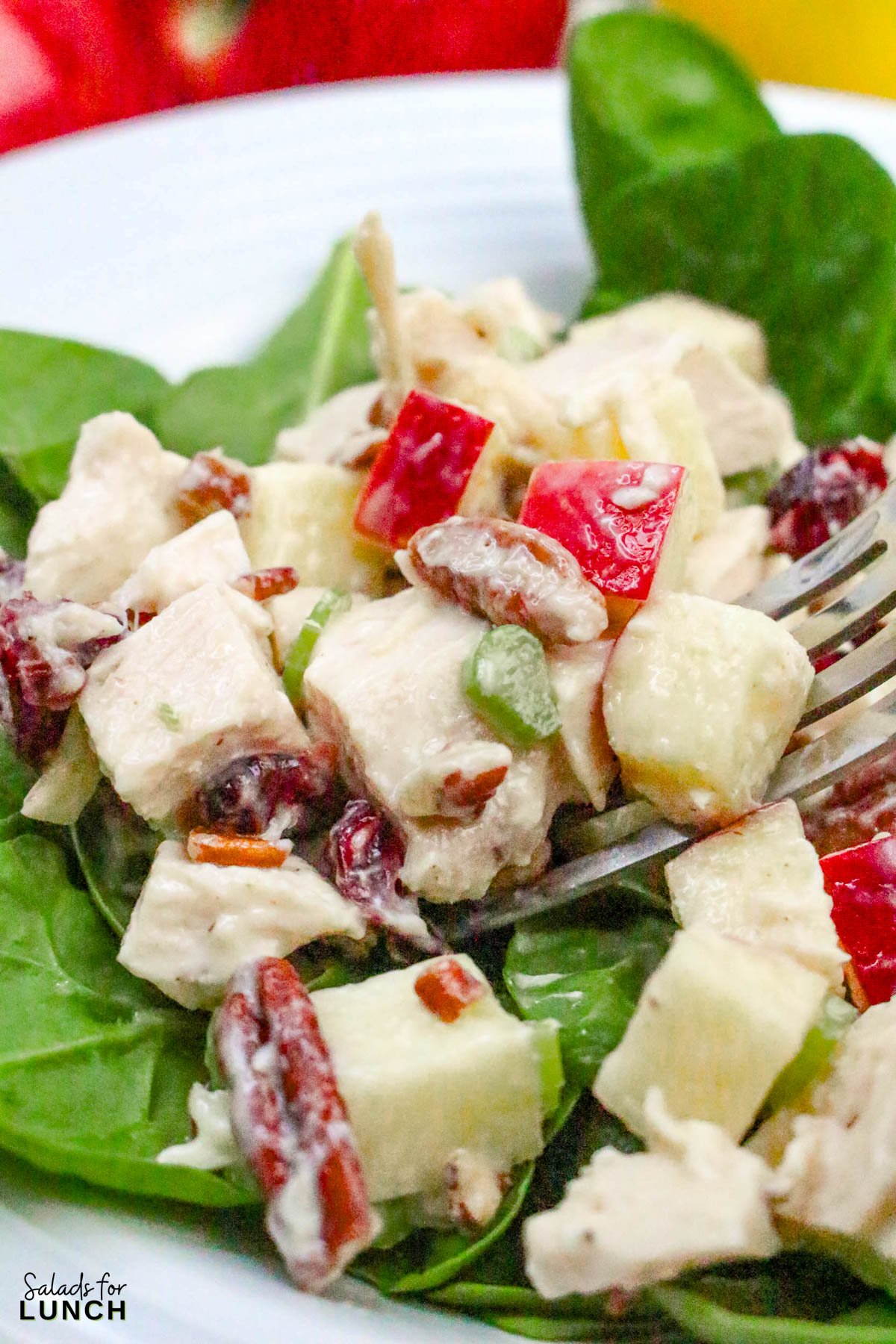 Apple Pecan Chicken Salad - Apple Pecan Chicken Salad Recipe 34 Apple Pecan Chicken Salad Recipe 34 - A tasty, healthy lunch salad recipe that’s full of crunch and flavor!