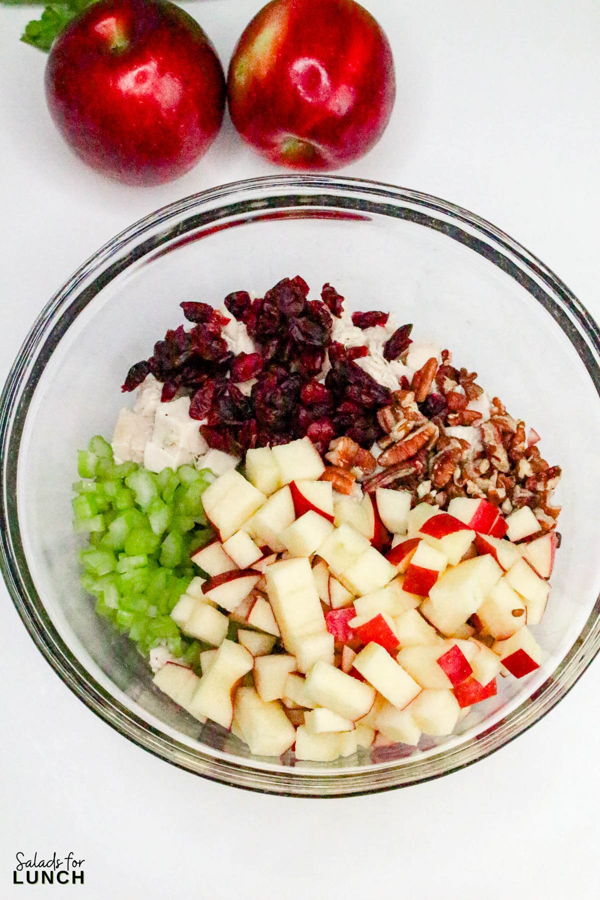 Apple Pecan Chicken Salad Recipe 4 - A tasty, healthy lunch salad recipe that’s full of crunch and flavor!