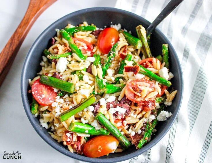 Asparagus and Bacon Orzo Salad Recipe 11 - March brings a lively mix of fresh fruits and vegetables that light up your plate with bold flavors and crisp textures. Celebrate March with these 17 early spring salads that prove healthy eating can be fun, flavorful, and budget-friendly.