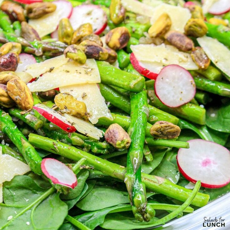 Asparagus and Radish Spring Salad - March brings a lively mix of fresh fruits and vegetables that light up your plate with bold flavors and crisp textures. Celebrate March with these 17 early spring salads that prove healthy eating can be fun, flavorful, and budget-friendly.