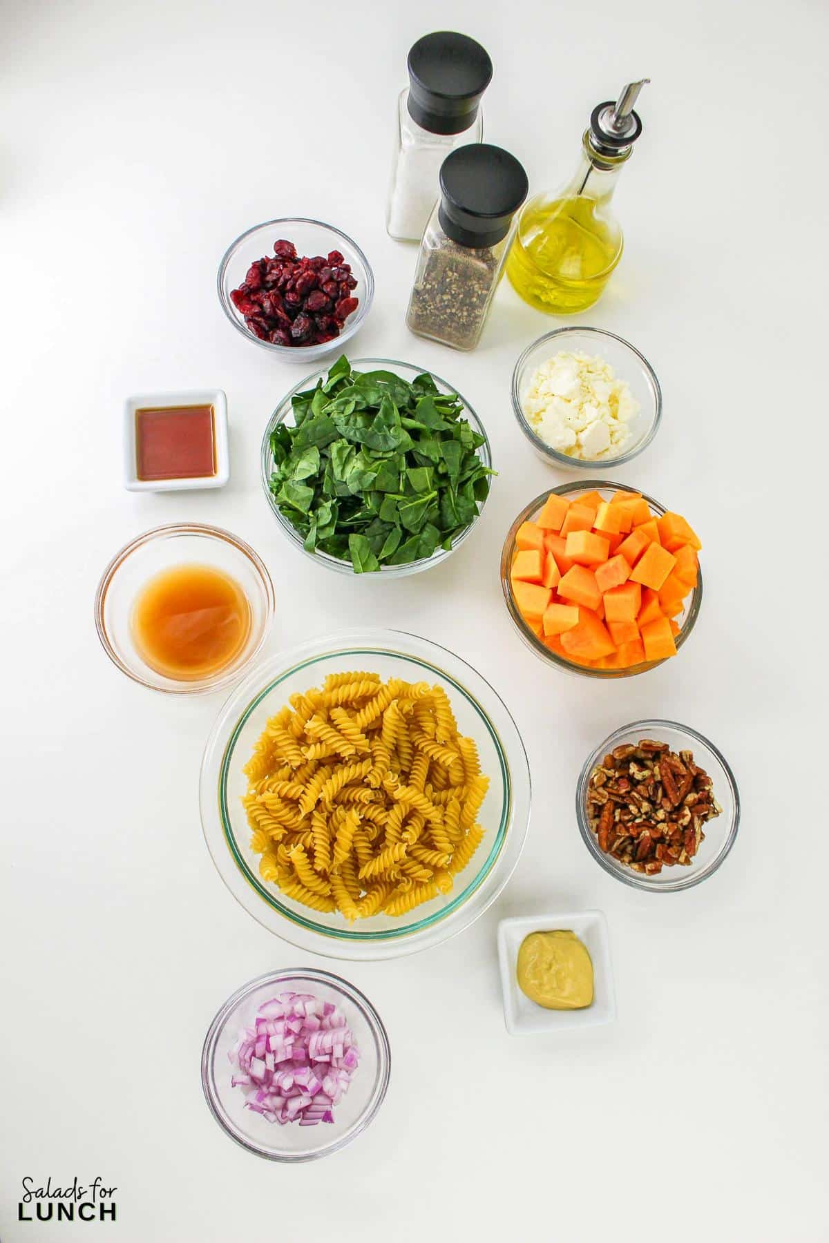 Autumn Pasta Salad Recipe 1 - This hearty fall pasta salad combines the rich flavors of roasted butternut squash, tart cranberries, and a tangy Maple Dijon salad dressing. It's perfect for a seasonal fall gathering or a simple weeknight autumn dinner.