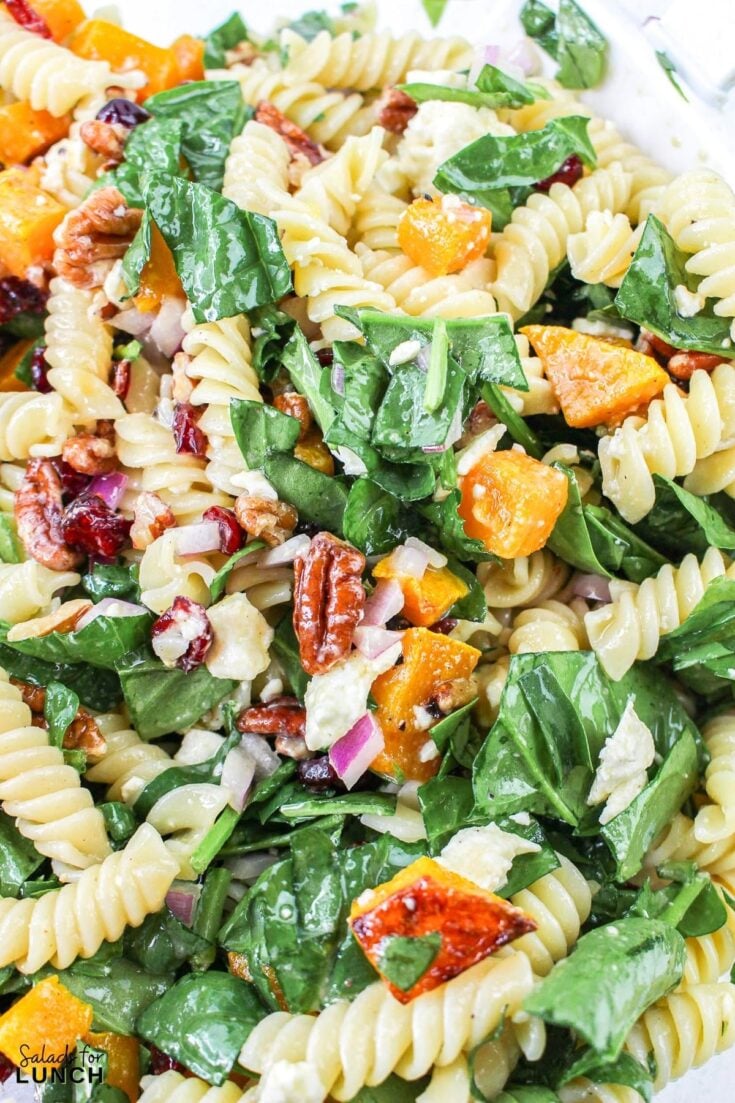 Autumn Pasta Salad Recipe 20 - Shake up your weekday lunch with these tasty, healthy salads for lunch recipes that are great on the go. Make a filling and healthy salad that will power you through any work day. Full of protein and fiber these quick salads are an easy way to spruce up your lunch.