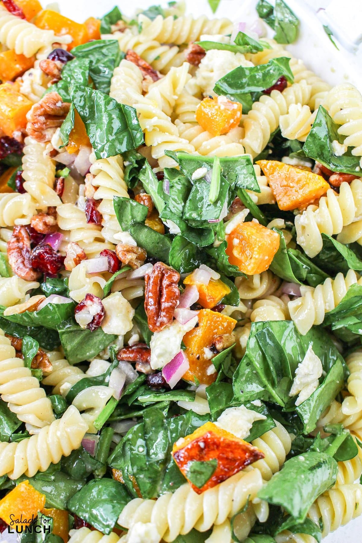 Autumn Pasta Salad Recipe 20 - This hearty fall pasta salad combines the rich flavors of roasted butternut squash, tart cranberries, and a tangy Maple Dijon salad dressing. It's perfect for a seasonal fall gathering or a simple weeknight autumn dinner.