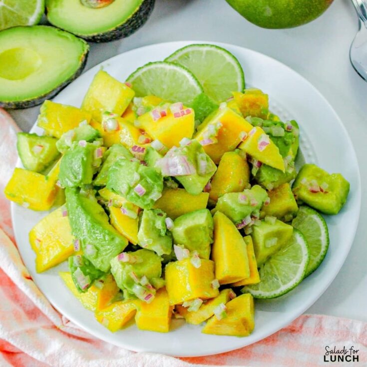 Avocado and Mango Salad Recipe - Now that harvest time has arrived, add these 25 fall salads made with September fruits and vegetables to your meal plan this month.