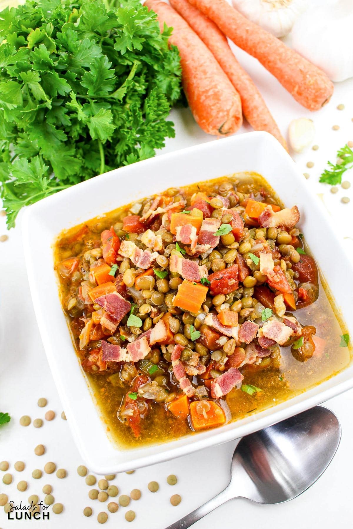 Bacon Lentil Soup Recipe 23 - This hearty, and easy Bacon Lentil Soup recipe combines the smokiness of bacon with the earthy flavor of lentils for a satisfying and nutritious meal. Perfect for a cozy evening, this soup is both flavorful and filling.