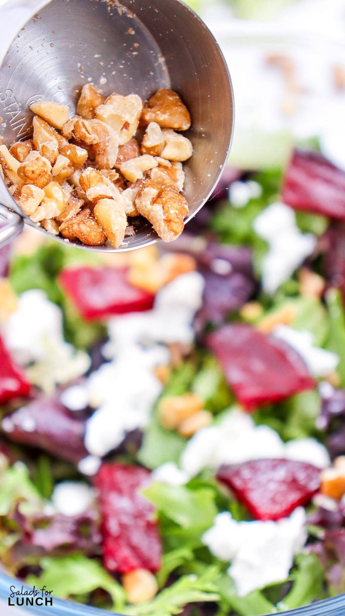 Beet and Goat Cheese Salad Recipe 16 scaled - A hearty Beetroot and Goat Cheese Salad with roasted beets, tangy goat cheese, walnuts, and a zesty vinaigrette. Perfectly healthy and easy for winter sides!