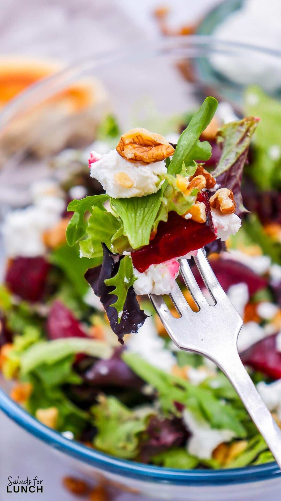 Beet and Goat Cheese Salad Recipe 32 scaled - A hearty Beetroot and Goat Cheese Salad with roasted beets, tangy goat cheese, walnuts, and a zesty vinaigrette. Perfectly healthy and easy for winter sides!