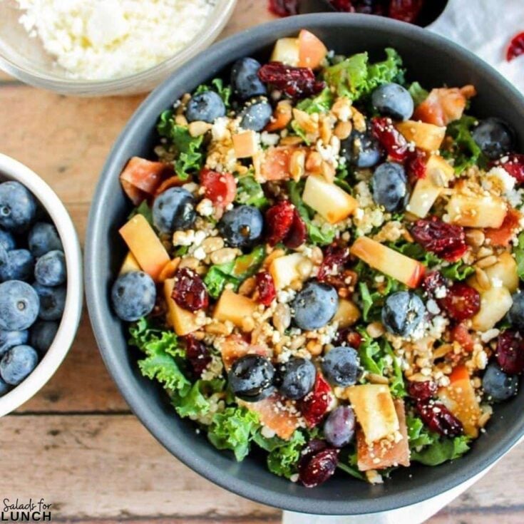 Blueberry Apple Cranberry and Kale Salad with Creamy Balsamic Vinaigrette - Shake up your weekday lunch with these tasty, healthy salads for lunch recipes that are great on the go. Make a filling and healthy salad that will power you through any work day. Full of protein and fiber these quick salads are an easy way to spruce up your lunch.