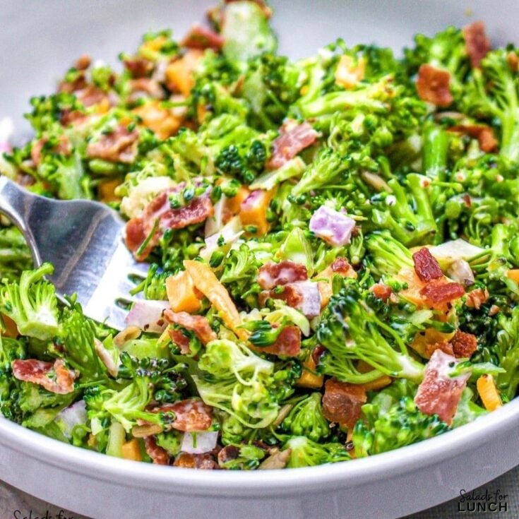 Broccoli Cheddar and Bacon Salad - Give these 24 healthy winter salads to make in January a try. Each one is made with fresh seasonal produce to nourish and keep you healthy all winter long.