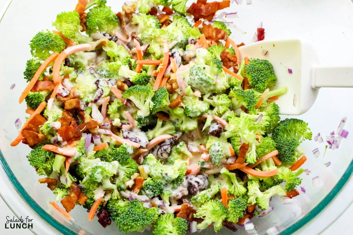 Broccoli Crunch Salad Recipe 10 - If you're looking for a salad that's as fun to eat as it is to make, this Broccoli Crunch Salad is the one! It's packed with texture, flavor, and a little bit of everything—crunchy broccoli, sweet raisins, crispy bacon, and a tangy, creamy dressing that ties it all together. This salad is a great way to add some color to your table, and it's always a hit at potlucks and family gatherings.