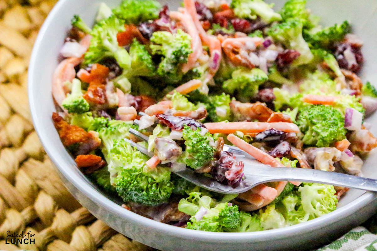 Broccoli Crunch Salad Recipe 21 - If you're looking for a salad that's as fun to eat as it is to make, this Broccoli Crunch Salad is the one! It's packed with texture, flavor, and a little bit of everything—crunchy broccoli, sweet raisins, crispy bacon, and a tangy, creamy dressing that ties it all together. This salad is a great way to add some color to your table, and it's always a hit at potlucks and family gatherings.