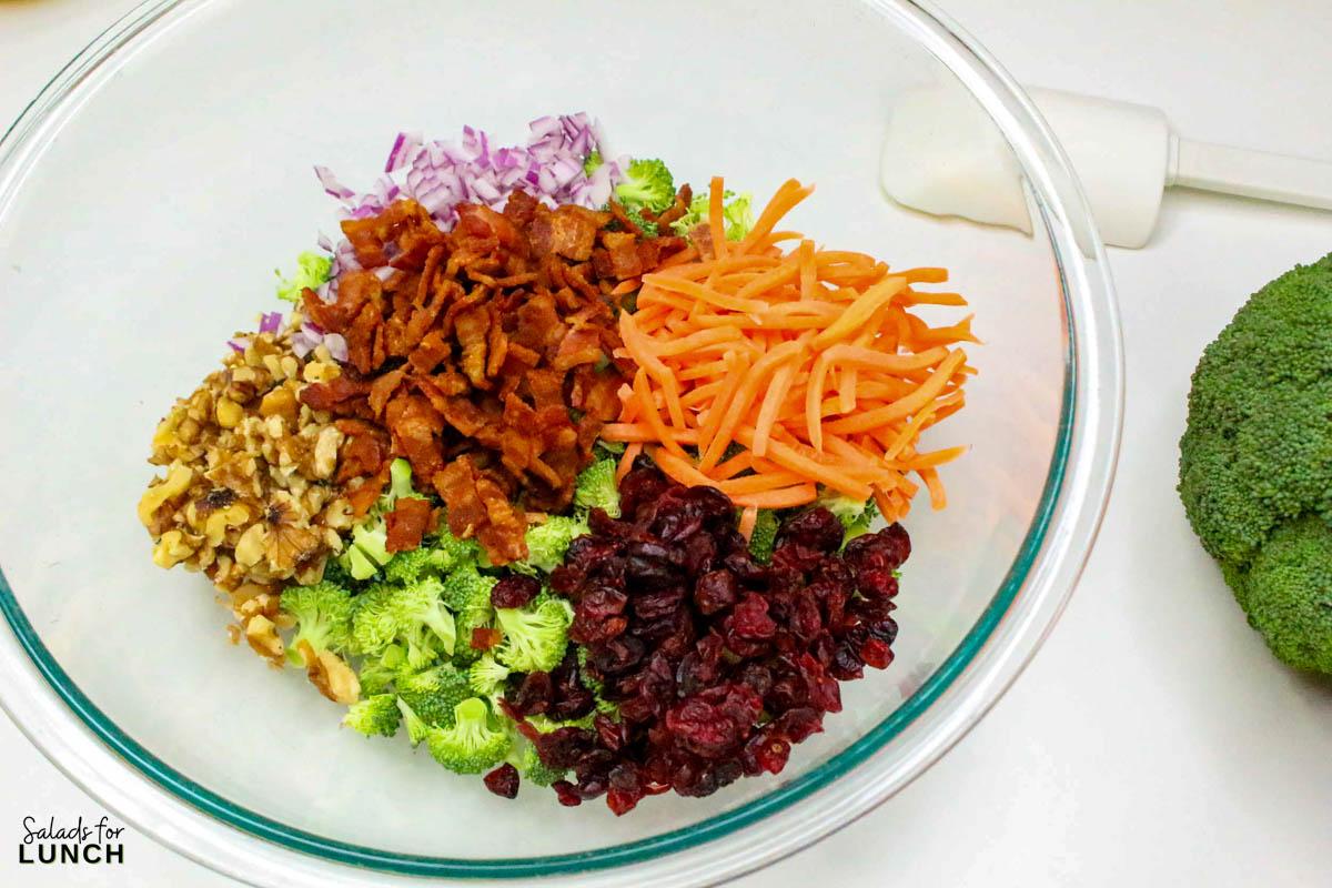 Broccoli Crunch Salad Recipe 3 - If you're looking for a salad that's as fun to eat as it is to make, this Broccoli Crunch Salad is the one! It's packed with texture, flavor, and a little bit of everything—crunchy broccoli, sweet raisins, crispy bacon, and a tangy, creamy dressing that ties it all together. This salad is a great way to add some color to your table, and it's always a hit at potlucks and family gatherings.