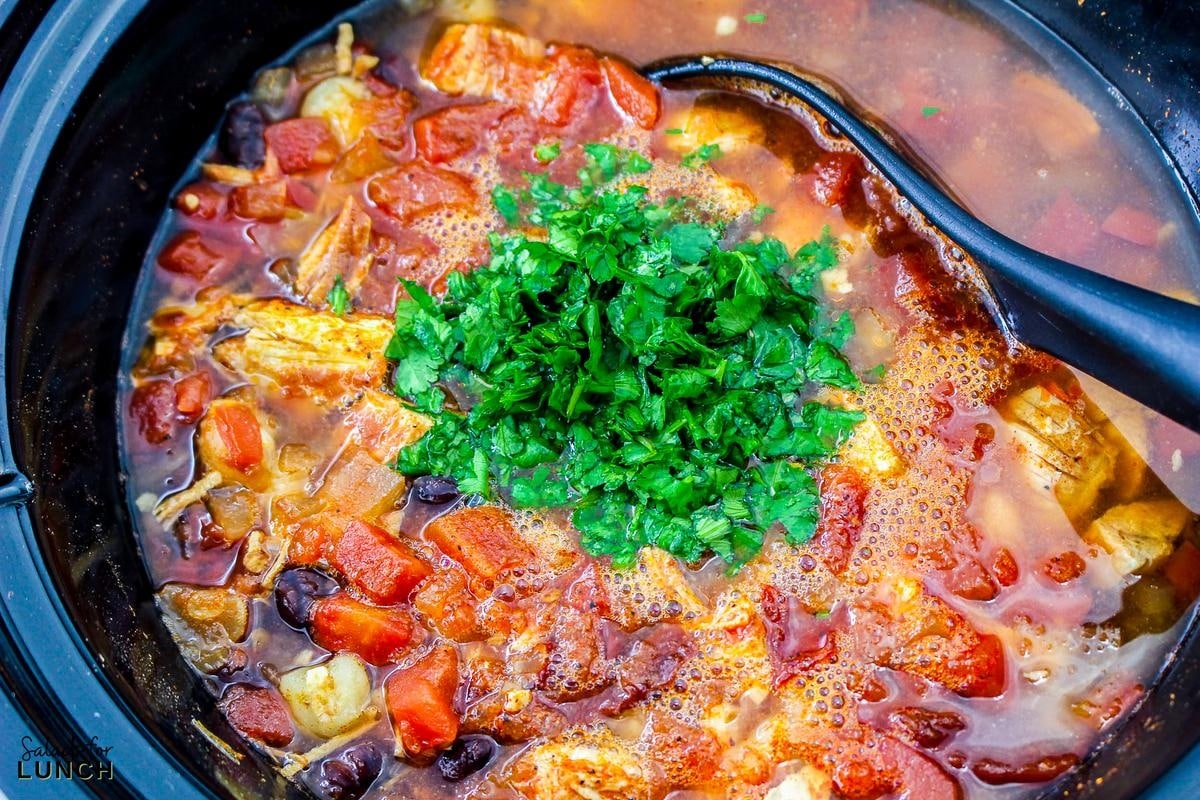 Chilis Southwest Chicken Soup Recipe 7 - Indulge in a taste fiesta with this Chili's Copycat Southwest Chicken Soup! Hearty, flavorful, and easy to make, this soul-warming delight features tender chicken, black beans, and hominy in a smoky chipotle broth. Spice it up and savor the Southwest in every comforting spoonful.