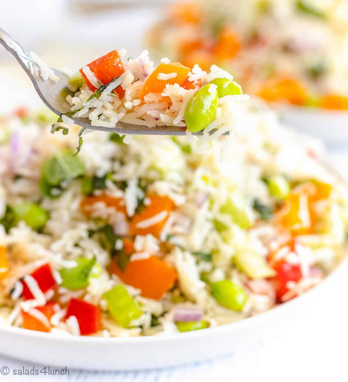 Close up of basmati rice salad with peppers, celery, mint and edamame on a white plate.