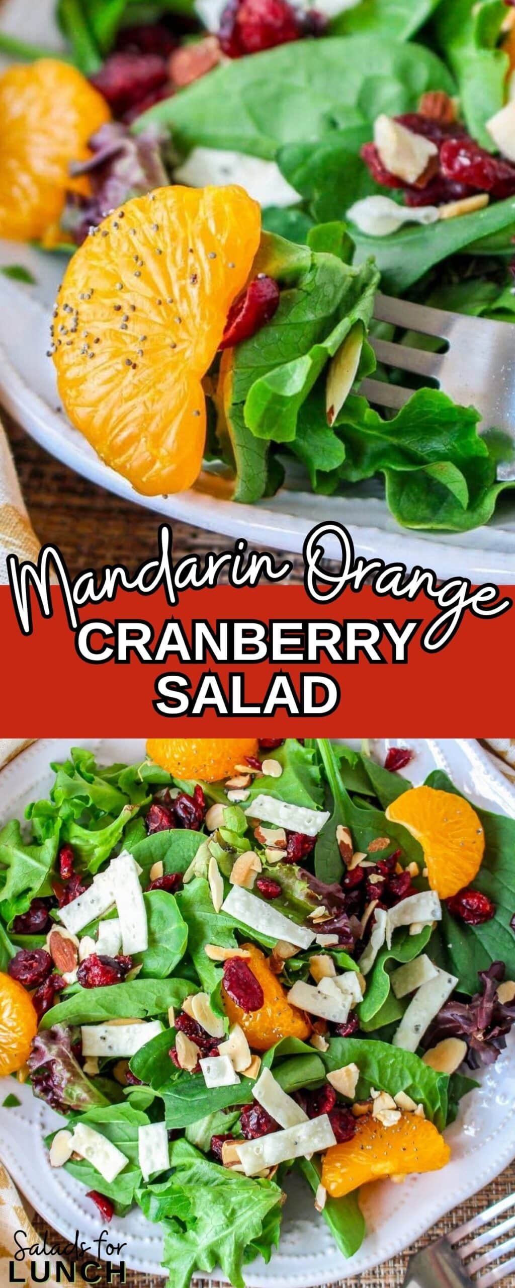 Cranberry and Mandarin Orange Salad with Orange Poppy Seed Dressing Recipe 1 scaled - This Cranberry Mandarin Orange Salad is a nutritious delight featuring mixed greens, tangy mandarin oranges, cranberries, and crunchy almonds. Drizzle it with my refreshing Orange Poppy Seed Dressing for a perfect balance of sweet and tangy. Easy to make, impossible not to love!