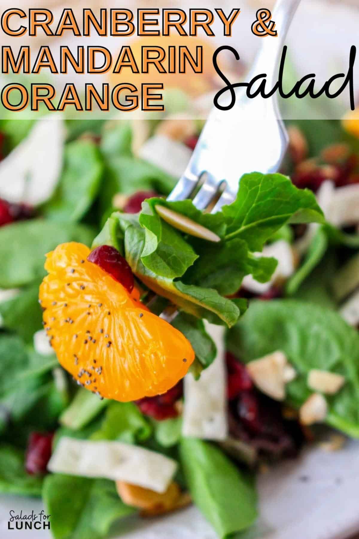Cranberry and Mandarin Orange Salad with Orange Poppy Seed Dressing Recipe 2 - This Cranberry Mandarin Orange Salad is a nutritious delight featuring mixed greens, tangy mandarin oranges, cranberries, and crunchy almonds. Drizzle it with my refreshing Orange Poppy Seed Dressing for a perfect balance of sweet and tangy. Easy to make, impossible not to love!