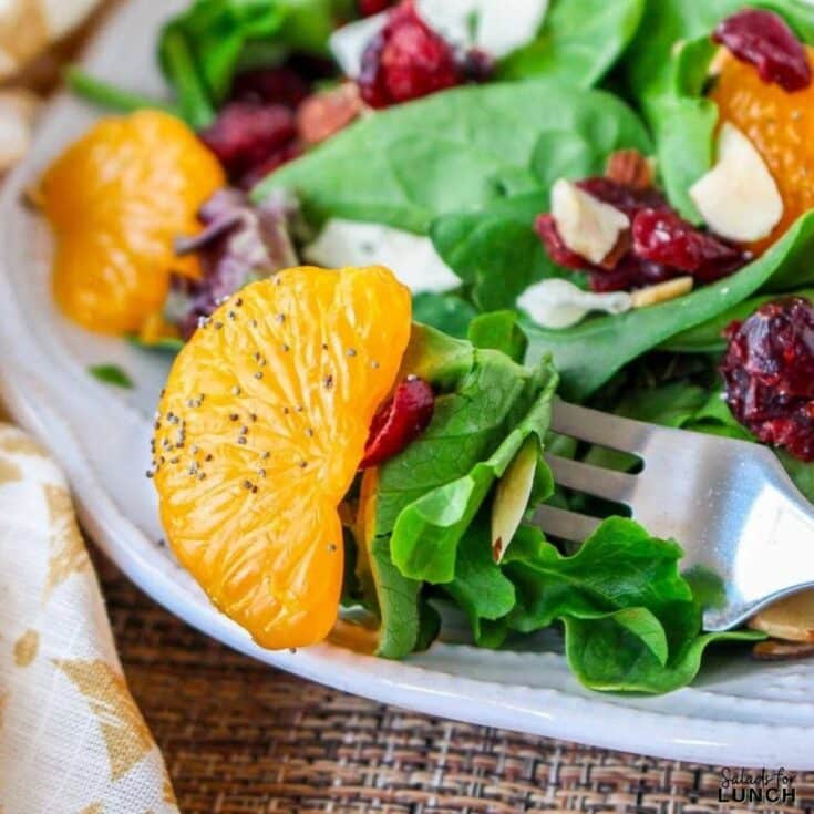 Cranberry and Mandarin Orange Salad with Orange Poppy Seed Dressing Recipe - Shake up your weekday lunch with these tasty, healthy salads for lunch recipes that are great on the go. Make a filling and healthy salad that will power you through any work day. Full of protein and fiber these quick salads are an easy way to spruce up your lunch.