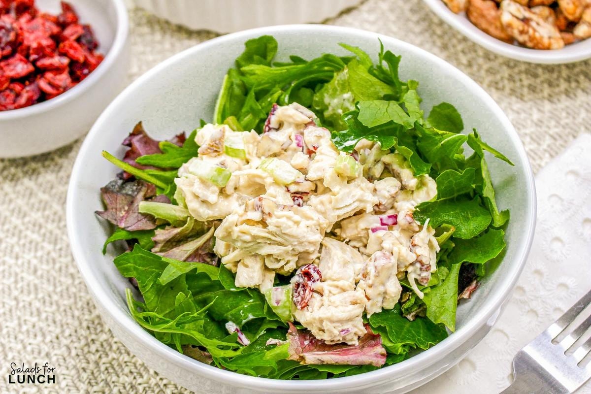 Cranberry Chicken Salad 12 - Cranberry Pecan Chicken Salad is a delightful blend of tender diced chicken, sweet dried cranberries, crunchy toasted pecans, and crisp celery, all mixed in a creamy dressing with a hint of honey and Dijon mustard.