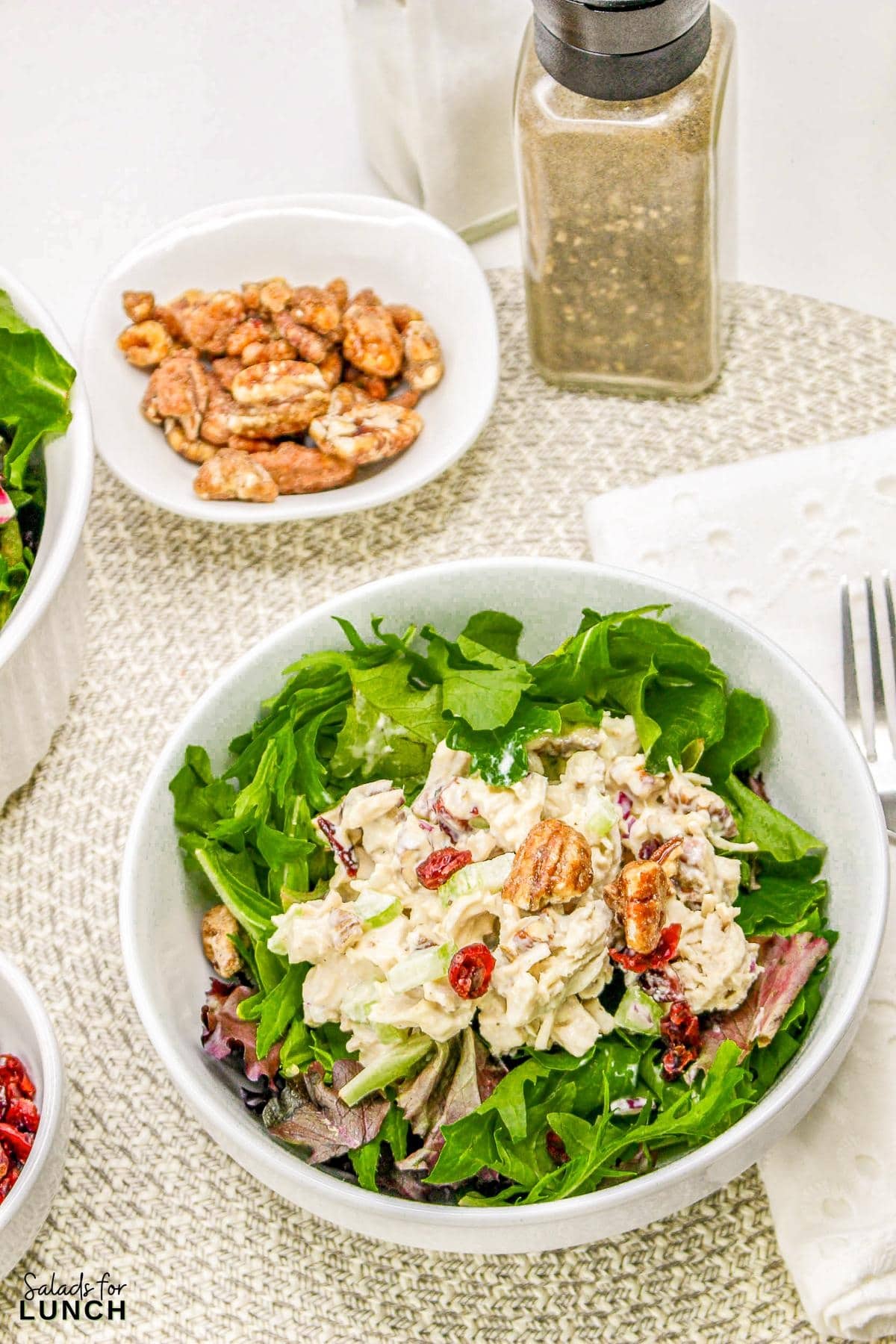 Cranberry Chicken Salad 14 - Cranberry Pecan Chicken Salad is a delightful blend of tender diced chicken, sweet dried cranberries, crunchy toasted pecans, and crisp celery, all mixed in a creamy dressing with a hint of honey and Dijon mustard.