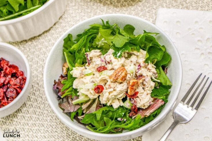 Cranberry Chicken Salad 19 - Shake up your weekday lunch with these tasty, healthy salads for lunch recipes that are great on the go. Make a filling and healthy salad that will power you through any work day. Full of protein and fiber these quick salads are an easy way to spruce up your lunch.