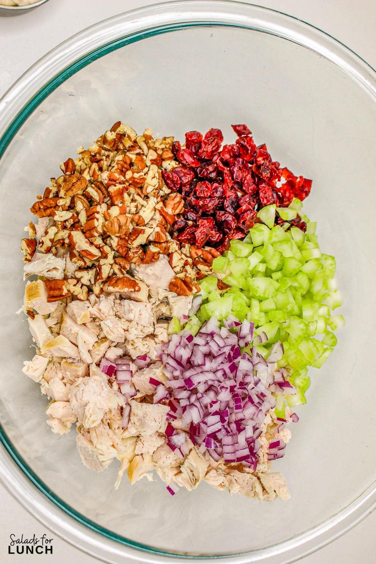 Cranberry Chicken Salad 3 - Cranberry Pecan Chicken Salad is a delightful blend of tender diced chicken, sweet dried cranberries, crunchy toasted pecans, and crisp celery, all mixed in a creamy dressing with a hint of honey and Dijon mustard.