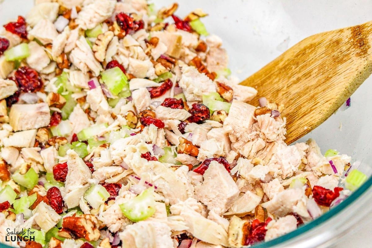 Cranberry Chicken Salad 4 - Cranberry Pecan Chicken Salad is a delightful blend of tender diced chicken, sweet dried cranberries, crunchy toasted pecans, and crisp celery, all mixed in a creamy dressing with a hint of honey and Dijon mustard.