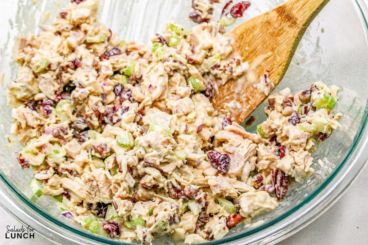Cranberry Chicken Salad 9 - Cranberry Pecan Chicken Salad is a delightful blend of tender diced chicken, sweet dried cranberries, crunchy toasted pecans, and crisp celery, all mixed in a creamy dressing with a hint of honey and Dijon mustard.