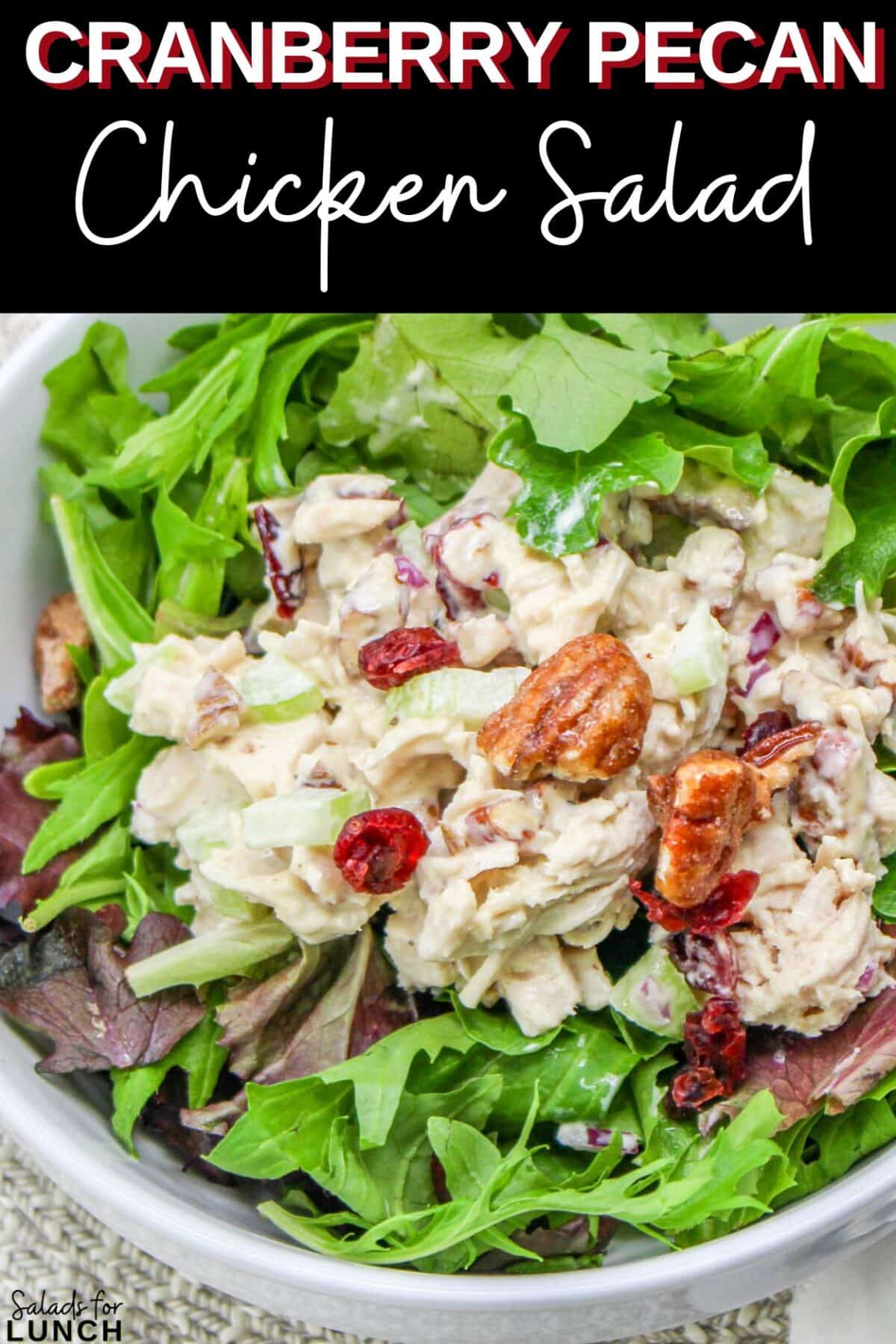 Cranberry Pecan Chciken Salad - Cranberry Pecan Chicken Salad is a delightful blend of tender diced chicken, sweet dried cranberries, crunchy toasted pecans, and crisp celery, all mixed in a creamy dressing with a hint of honey and Dijon mustard.