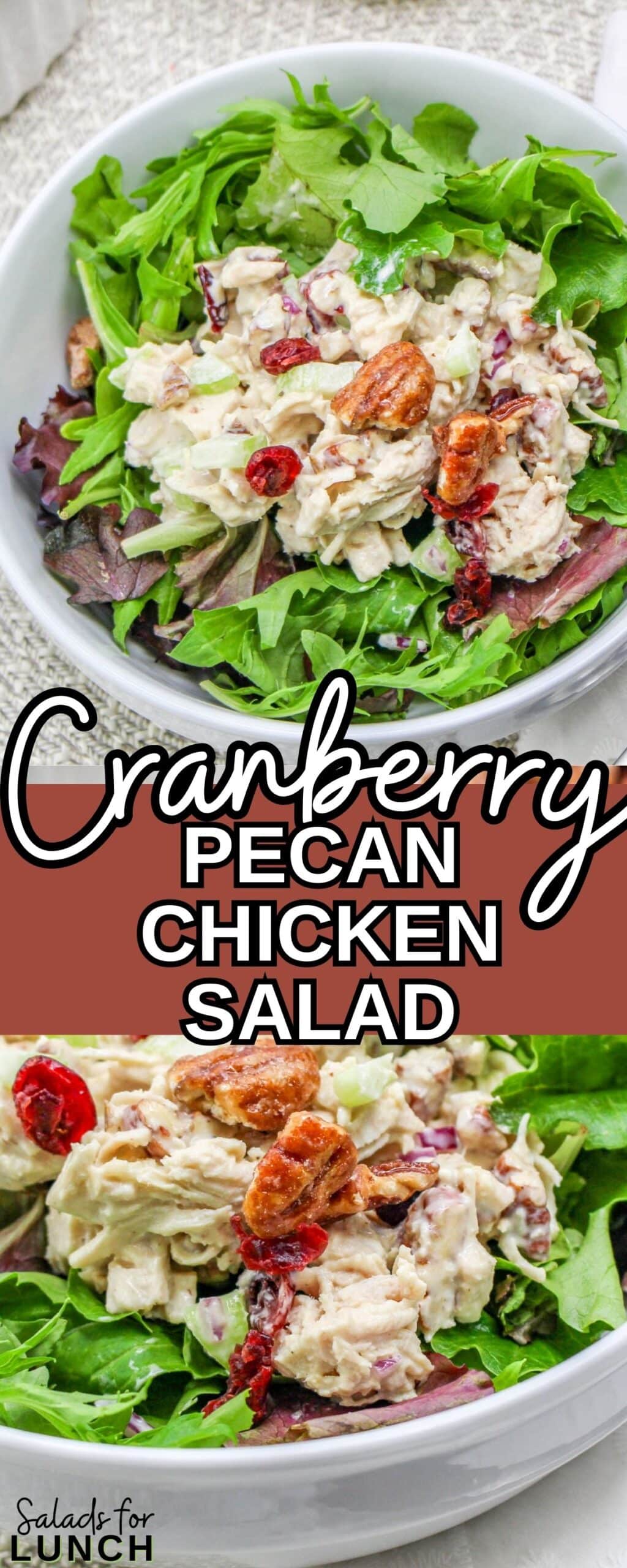 Cranberry Pecan Chicken Salad scaled - Cranberry Pecan Chicken Salad is a delightful blend of tender diced chicken, sweet dried cranberries, crunchy toasted pecans, and crisp celery, all mixed in a creamy dressing with a hint of honey and Dijon mustard.