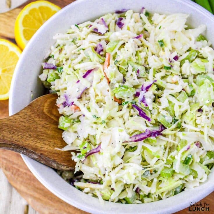 Creamy Blue Cheese Coleslaw Recipe 1 - Whether you’re a salad enthusiast or just looking for a fun way to brighten up your winter menu, these 17 winter salads are sure to inspire you. Embrace the flavors of February, get creative in the kitchen, and let these vibrant dishes fuel you with all the nutrients you need to thrive through the winter months!