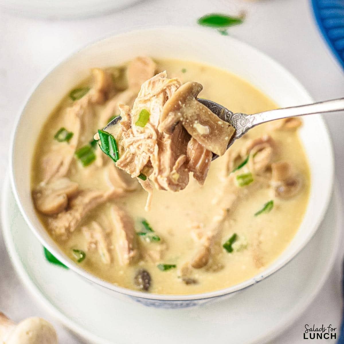 Creamy Instant Pot French Onion Chicken Soup -
