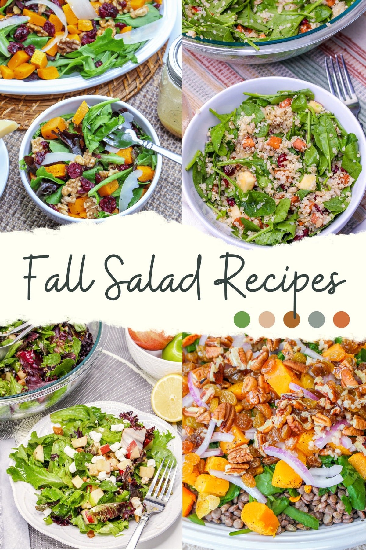 Collage of four vibrant fall salads with 