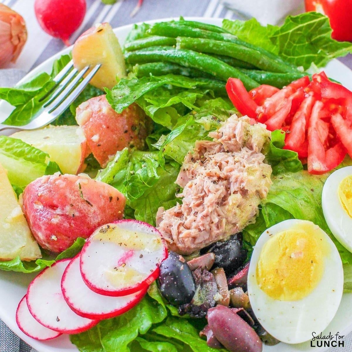 French Nicoise Salad 1 - Spring is officially in full bloom, and that means it’s time to celebrate all the amazing spring salad ingredients May has to offer! 🌷💚 From sweet strawberries to crisp asparagus, the produce aisle is bursting with color—and flavor. And what better way to use all that seasonal goodness than in a delicious salad?