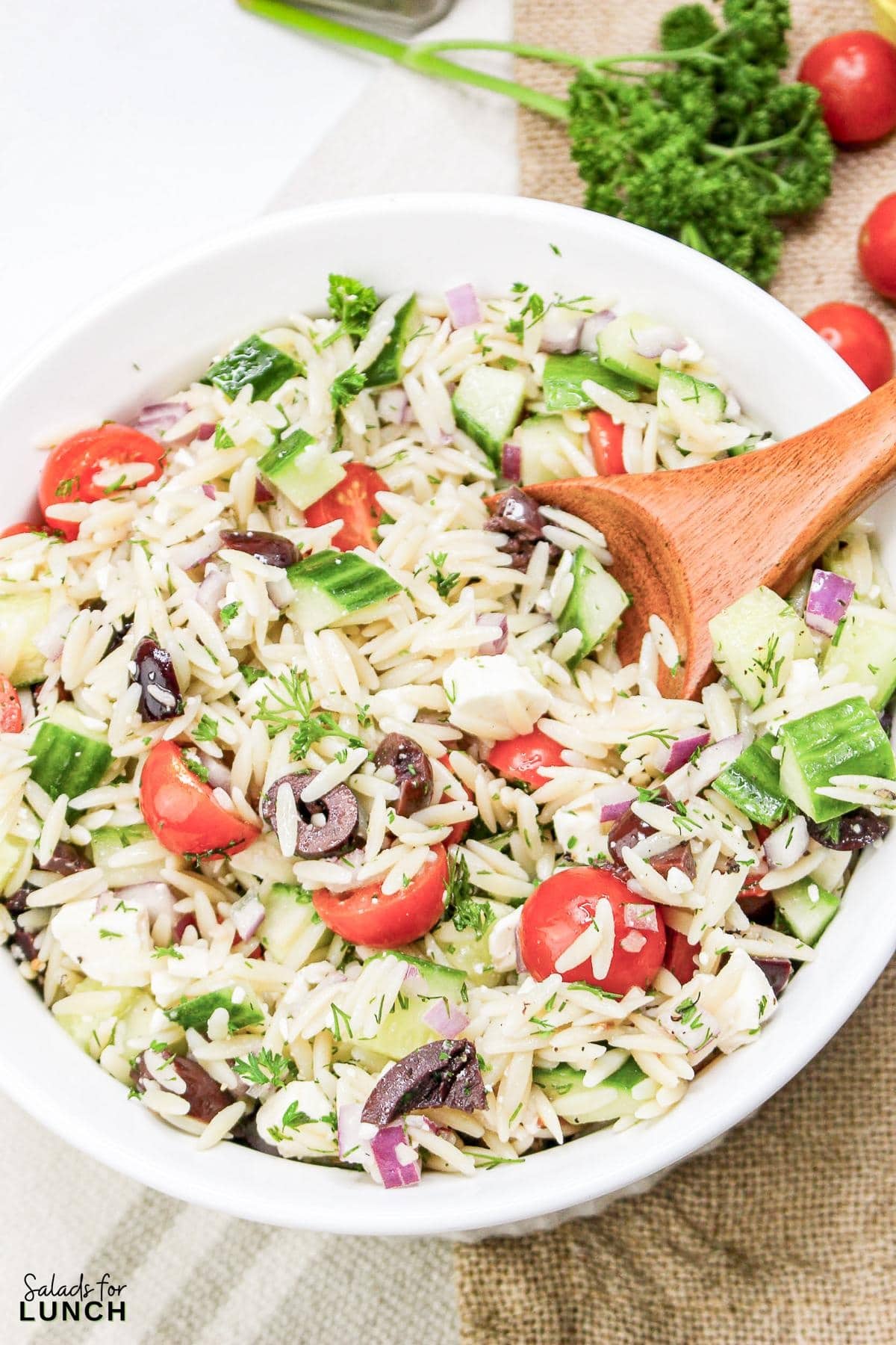 Greek Orzo Salad 18 - Are you ready to jazz up your lunchtime routine with a salad that's as delicious as it is easy to make? Say hello to the Greek Orzo Salad—a vibrant, refreshing dish that's bursting with Mediterranean flavors and perfect for any meal. Whether you're looking for a quick lunch or a light dinner, this salad is a crowd-pleaser that’s sure to satisfy. This Greek Orzo Salad comes together in just 25 minutes, making it an ideal choice for busy days when you still want to eat something healthy and delicious.