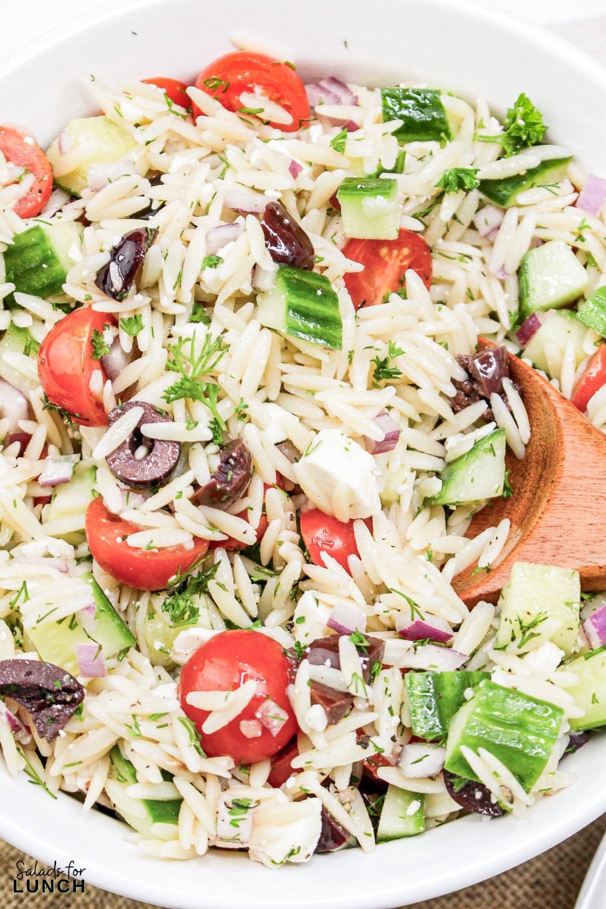 Greek Orzo Salad 20 - Are you ready to jazz up your lunchtime routine with a salad that's as delicious as it is easy to make? Say hello to the Greek Orzo Salad—a vibrant, refreshing dish that's bursting with Mediterranean flavors and perfect for any meal. Whether you're looking for a quick lunch or a light dinner, this salad is a crowd-pleaser that’s sure to satisfy. This Greek Orzo Salad comes together in just 25 minutes, making it an ideal choice for busy days when you still want to eat something healthy and delicious.