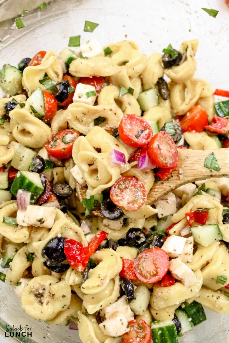 Tortellini Pasta Salad with Italian Salad Dressing