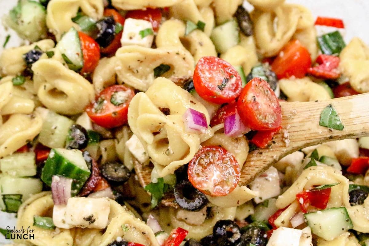 Greek Tortellini Pasta Salad Recipe 25 - This Tortellini Pasta Salad with Italian Salad Dressing is a fantastic mix of tender cheese tortellini, crisp vegetables, and a zesty dressing that makes every bite a treat. Perfect for potlucks or a quick meal, this salad brings a cheerful vibe to any gathering without taking hours to prepare.
