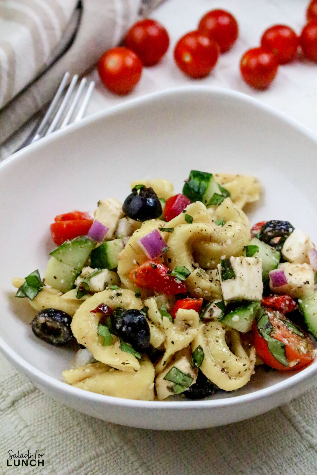 Greek Tortellini Pasta Salad Recipe 31 - This Tortellini Pasta Salad with Italian Salad Dressing is a fantastic mix of tender cheese tortellini, crisp vegetables, and a zesty dressing that makes every bite a treat. Perfect for potlucks or a quick meal, this salad brings a cheerful vibe to any gathering without taking hours to prepare.